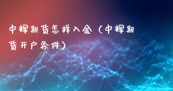中辉期货怎样入金（中辉期货开户条件） (https://www.njaxzs.com/) 期货直播间 第1张
