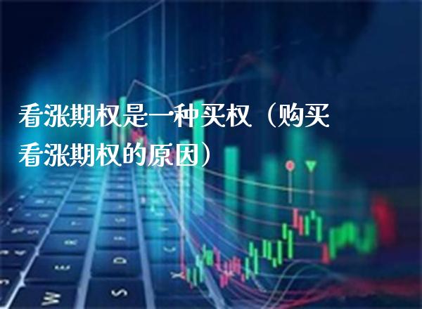 看涨期权是一种买权（购买看涨期权的原因） (https://www.njaxzs.com/) 原油期货 第1张