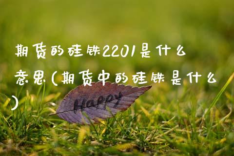 期货的硅铁2201是什么意思(期货中的硅铁是什么) (https://www.njaxzs.com/) 期货直播间 第1张