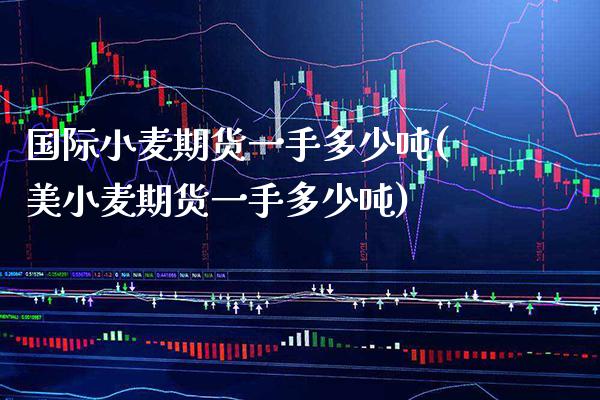 国际小麦期货一手多少吨(美小麦期货一手多少吨) (https://www.njaxzs.com/) 原油期货 第1张