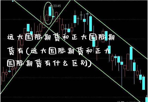 远大国际期货和正大国际期货有(远大国际期货和正大国际期货有什么区别) (https://www.njaxzs.com/) 期货行情 第1张