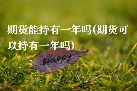 期货能持有一年吗(期货可以持有一年吗) (https://www.njaxzs.com/) 黄金期货 第1张