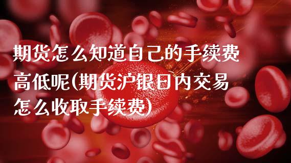 期货怎么知道自己的手续费高低呢(期货沪银日内交易怎么收取手续费) (https://www.njaxzs.com/) 期货投资 第1张
