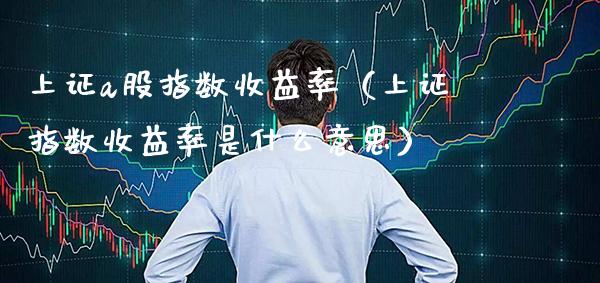 上证a股指数收益率（上证指数收益率是什么意思） (https://www.njaxzs.com/) 期货直播间 第1张