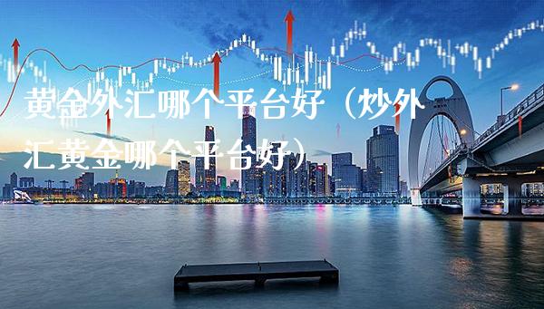 黄金外汇哪个平台好（炒外汇黄金哪个平台好） (https://www.njaxzs.com/) 期货行情 第1张
