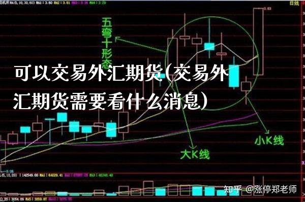 可以交易外汇期货(交易外汇期货需要看什么消息) 黄金期货 第1张-爱新财经 可以交易外汇期货(交易外汇期货需要看什么消息) (https://www.njaxzs.com/) 黄金期货 第1张