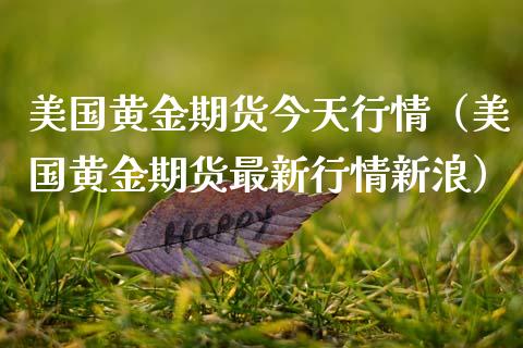美国黄金期货今天行情（美国黄金期货最新行情新浪） (https://www.njaxzs.com/) 期货直播间 第1张