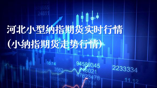 河北小型纳指期货实时行情(小纳指期货走势行情) (https://www.njaxzs.com/) 期货行情 第1张