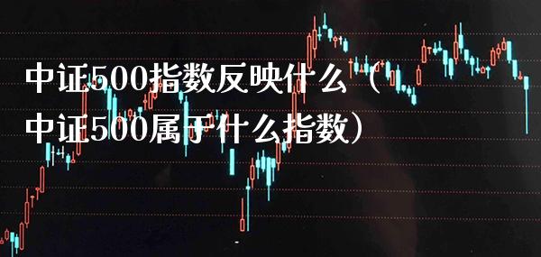 中证500指数反映什么（中证500属于什么指数） (https://www.njaxzs.com/) 期货直播间 第1张