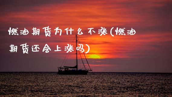 燃油期货为什么不涨(燃油期货还会上涨吗) (https://www.njaxzs.com/) 期货投资 第1张