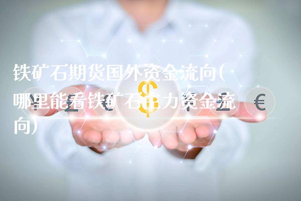 铁矿石期货国外资金流向(哪里能看铁矿石主力资金流向) (https://www.njaxzs.com/) 期货开户 第1张