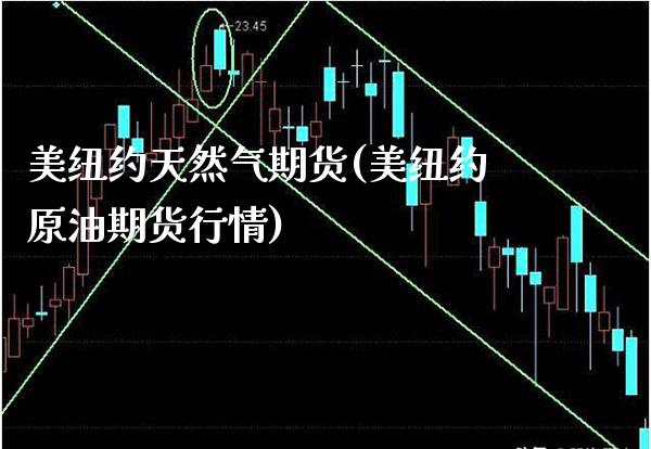美纽约天然气期货(美纽约原油期货行情) (https://www.njaxzs.com/) 内盘期货 第1张
