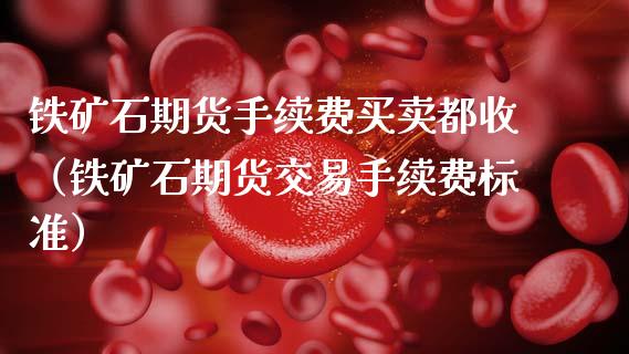 铁矿石期货手续费买卖都收（铁矿石期货交易手续费标准） (https://www.njaxzs.com/) 内盘期货 第1张