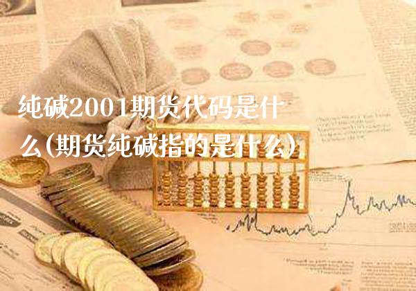 纯碱2001期货代码是什么(期货纯碱指的是什么) (https://www.njaxzs.com/) 期货直播间 第1张