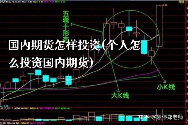 国内期货怎样投资(个人怎么投资国内期货) (https://www.njaxzs.com/) 内盘期货 第1张