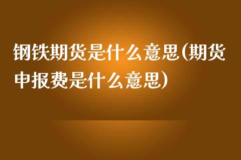 钢铁期货是什么意思(期货申报费是什么意思) 内盘期货 第1张-爱新财经 钢铁期货是什么意思(期货申报费是什么意思) (https://www.njaxzs.com/) 内盘期货 第1张