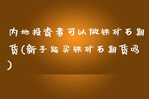 内地投资者可以做铁矿石期货(新手能买铁矿石期货吗) (https://www.njaxzs.com/) 期货直播间 第1张