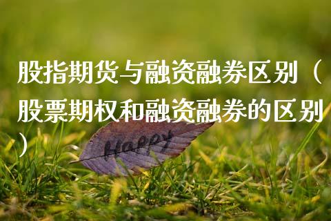 股指期货与融资融券区别（股票期权和融资融券的区别） (https://www.njaxzs.com/) 期货直播间 第1张