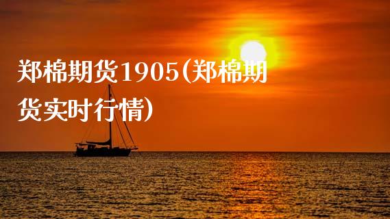 郑棉期货1905(郑棉期货实时行情) (https://www.njaxzs.com/) 内盘期货 第1张