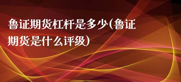 鲁证期货杠杆是多少(鲁证期货是什么评级) (https://www.njaxzs.com/) 期货开户 第1张