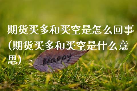 期货买多和买空是怎么回事(期货买多和买空是什么意思) 期货行情 第1张-爱新财经 期货买多和买空是怎么回事(期货买多和买空是什么意思) (https://www.njaxzs.com/) 期货行情 第1张