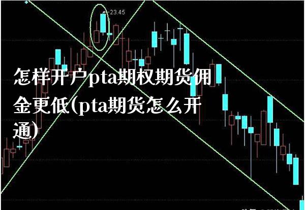 怎样开户pta期权期货佣金更低(pta期货怎么开通) (https://www.njaxzs.com/) 期货直播间 第1张