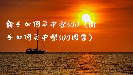 新手如何买沪深300（新手如何买沪深300股票） (https://www.njaxzs.com/) 期货直播间 第1张