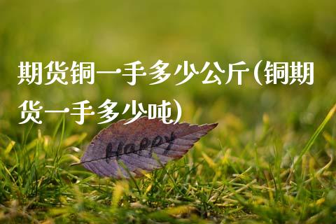 期货铜一手多少公斤(铜期货一手多少吨) (https://www.njaxzs.com/) 期货行情 第1张