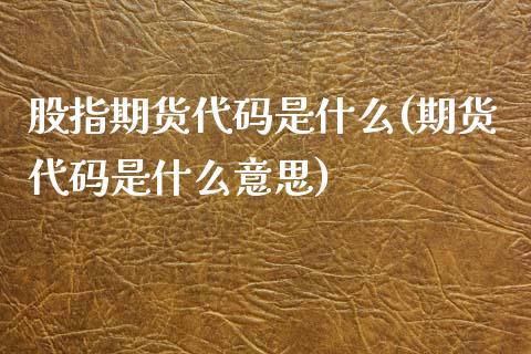 股指期货代码是什么(期货代码是什么意思) (https://www.njaxzs.com/) 期货行情 第1张