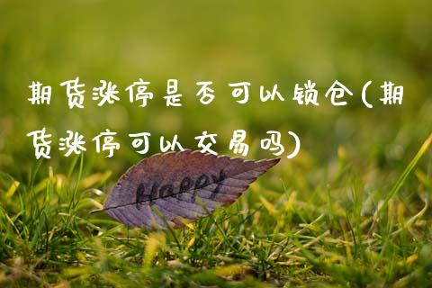 期货涨停是否可以锁仓(期货涨停可以交易吗) (https://www.njaxzs.com/) 黄金期货 第1张