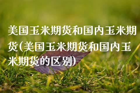美国玉米期货和国内玉米期货(美国玉米期货和国内玉米期货的区别) (https://www.njaxzs.com/) 期货行情 第1张