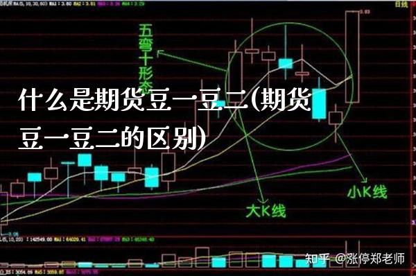 什么是期货豆一豆二(期货豆一豆二的区别) (https://www.njaxzs.com/) 原油期货 第1张