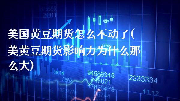 美国黄豆期货怎么不动了(美黄豆期货影响力为什么那么大) (https://www.njaxzs.com/) 期货行情 第1张