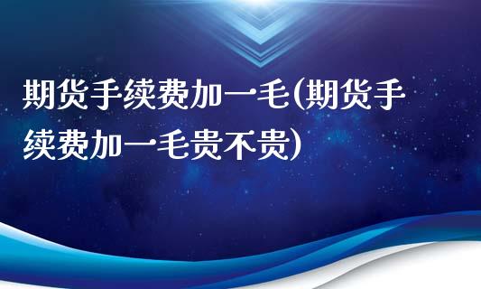 期货手续费加一毛(期货手续费加一毛贵不贵) (https://www.njaxzs.com/) 内盘期货 第1张