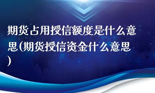 期货占用授信额度是什么意思(期货授信资金什么意思) (https://www.njaxzs.com/) 期货行情 第1张