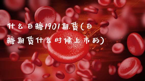 什么白糖1901期货(白糖期货什么时候上市的) (https://www.njaxzs.com/) 期货行情 第1张