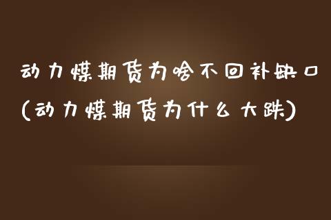动力煤期货为啥不回补缺口(动力煤期货为什么大跌) (https://www.njaxzs.com/) 原油期货 第1张