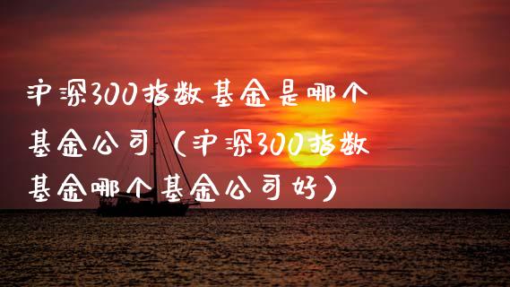 沪深300指数基金是哪个基金公司（沪深300指数基金哪个基金公司好） (https://www.njaxzs.com/) 期货直播间 第1张