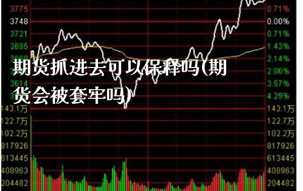 期货抓进去可以保释吗(期货会被套牢吗) (https://www.njaxzs.com/) 黄金期货 第1张