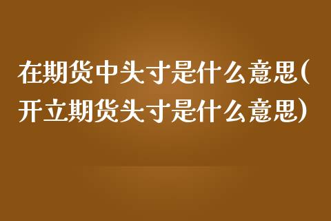 在期货中头寸是什么意思(开立期货头寸是什么意思) (https://www.njaxzs.com/) 期货直播间 第1张