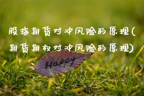 股指期货对冲风险的原理(期货期权对冲风险的原理) (https://www.njaxzs.com/) 内盘期货 第1张