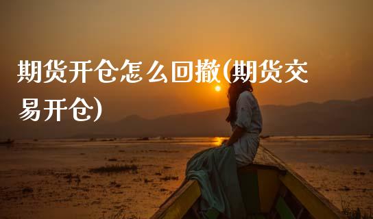 期货开仓怎么回撤(期货交易开仓) (https://www.njaxzs.com/) 黄金期货 第1张