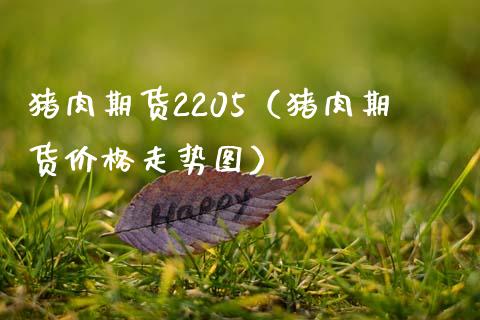 猪肉期货2205（猪肉期货走势图） (https://www.njaxzs.com/) 期货直播间 第1张
