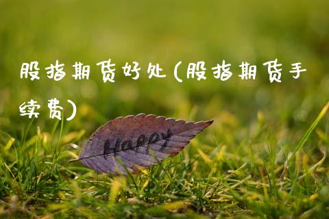 股指期货好处(股指期货手续费) (https://www.njaxzs.com/) 原油期货 第1张