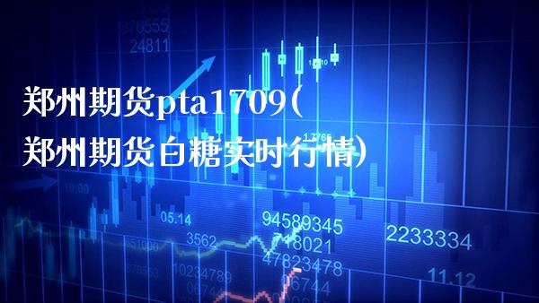 郑州期货pta1709(郑州期货白糖实时行情) (https://www.njaxzs.com/) 期货行情 第1张