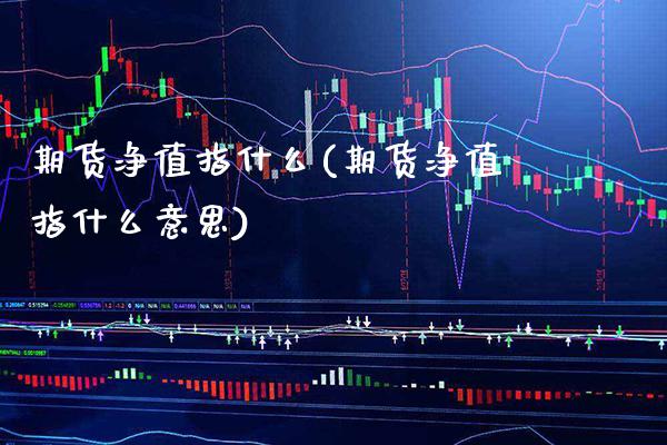 期货净值指什么(期货净值指什么意思) (https://www.njaxzs.com/) 黄金期货 第1张