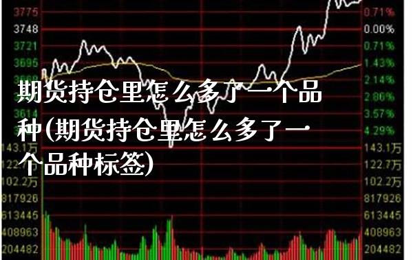 期货持仓里怎么多了一个品种(期货持仓里怎么多了一个品种标签) (https://www.njaxzs.com/) 期货开户 第1张