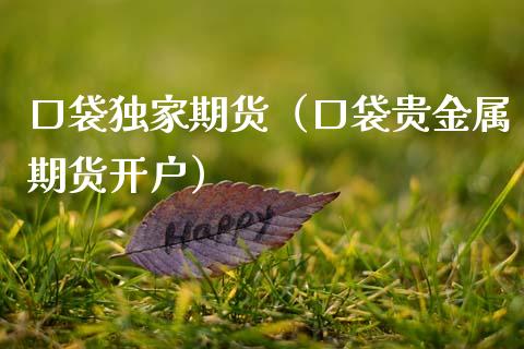 口袋独家期货（口袋贵金属期货开户） (https://www.njaxzs.com/) 期货直播间 第1张