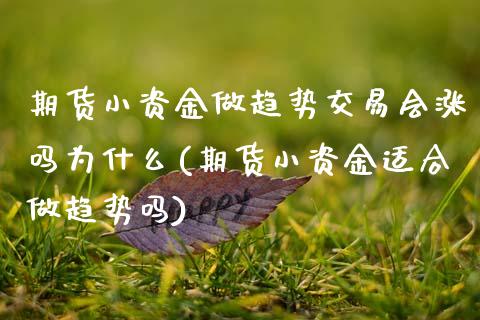 期货小资金做趋势交易会涨吗为什么(期货小资金适合做趋势吗) (https://www.njaxzs.com/) 期货开户 第1张