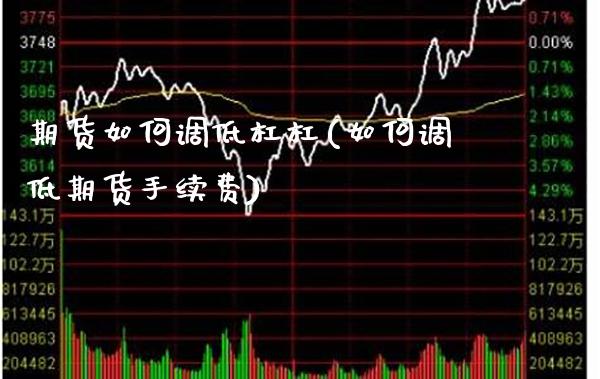 期货如何调低杠杠(如何调低期货手续费) (https://www.njaxzs.com/) 原油期货 第1张